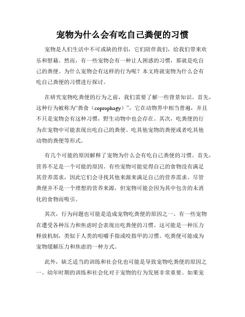 宠物为什么会有吃自己粪便的习惯