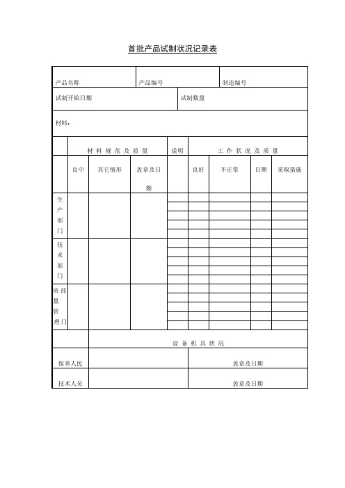 首批产品试制状况记录表