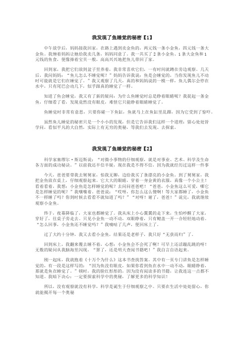 我发现了鱼睡觉的秘密作文
