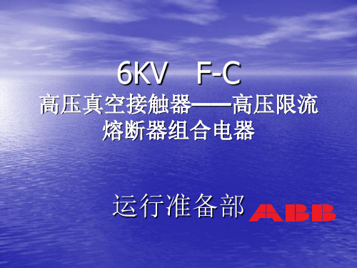 6KVF-C高压真空接触器—高压限流熔断器组合电器详解