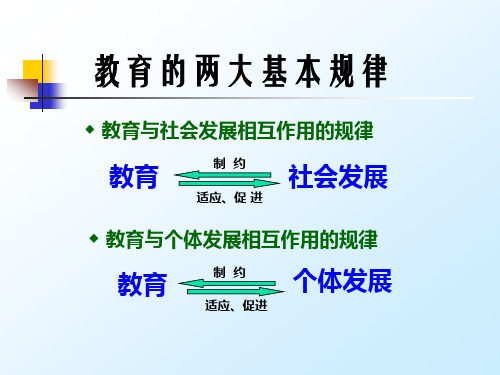 教育学原理——教育与人的身心发展