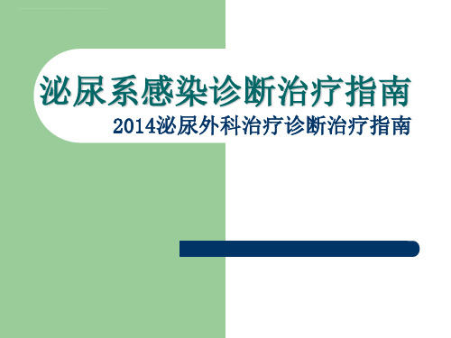 2020泌尿系感染诊断治疗指南_PPT课件