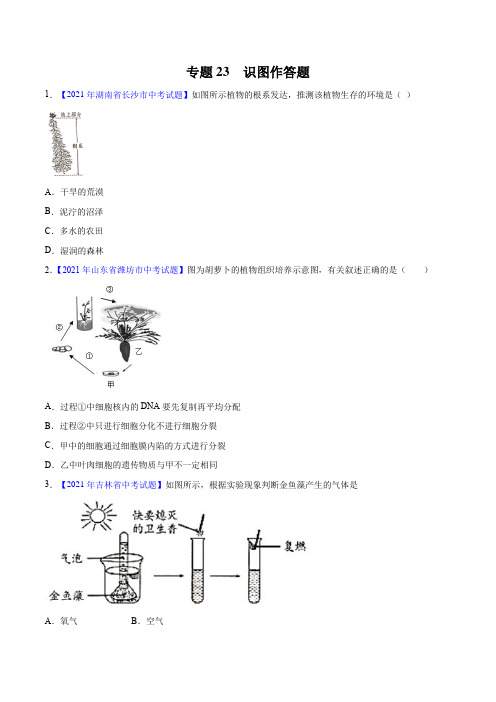 专题23 识图作答题-2021年中考生物真题分项汇编 (全国通用)(第3期)(原卷版)