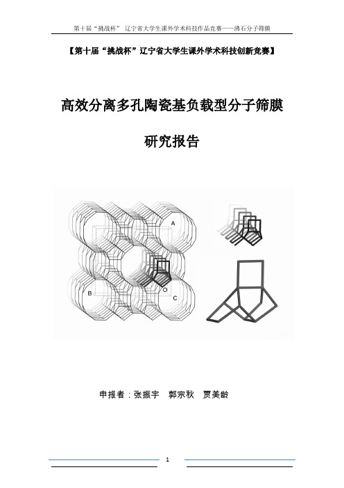 沸石分子筛膜研究报告正式版