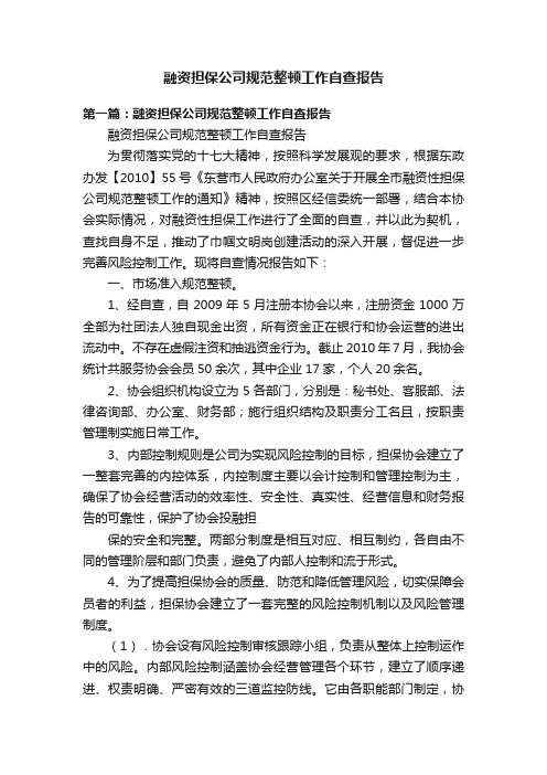 融资担保公司规范整顿工作自查报告