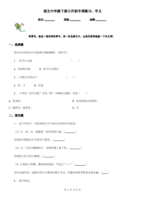 语文六年级下册小升初专项练习：字义