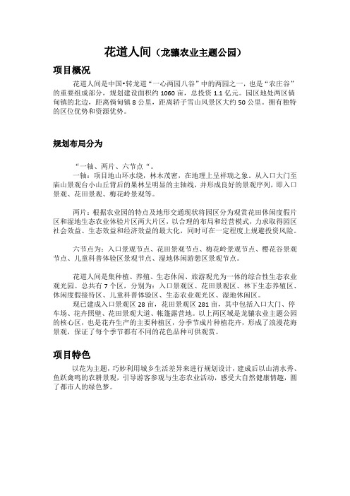 云南龙骧集团“中国·转龙道”花道人间