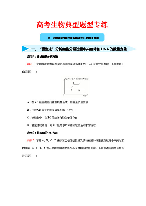 高考生物典型题型专练10---细胞分裂过程中染色体和DNA的数量变化 含答案