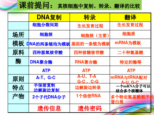 基因对性状的控制(公开课) 人教版高中生物必修二PPT优质课件(共31张)