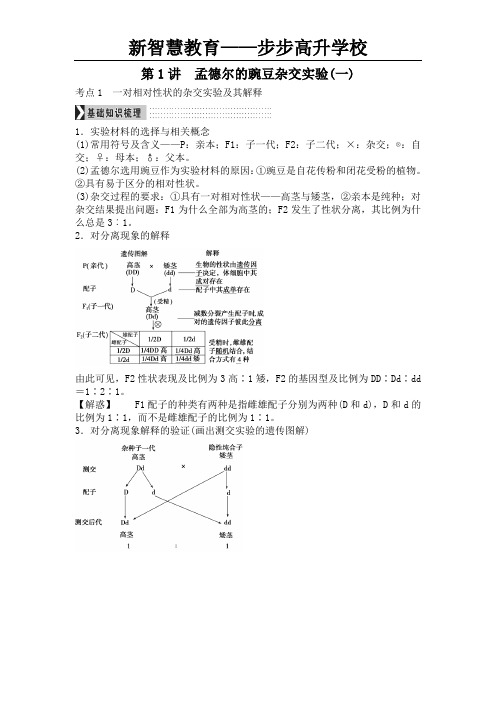 孟德尔的豌豆杂交实验 教师版