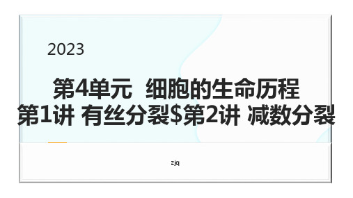 高三生物一轮复习课件有丝分裂与减数分裂