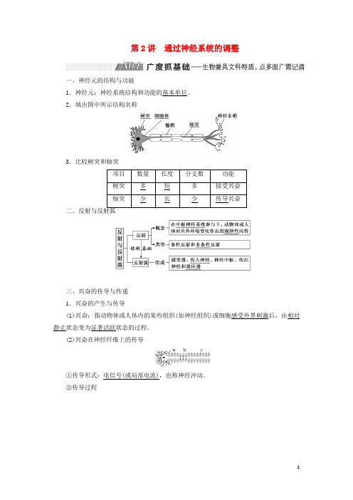 通用版2025版高考生物一轮复习第一单元第2讲通过神经系统的调节学案含解析必修3