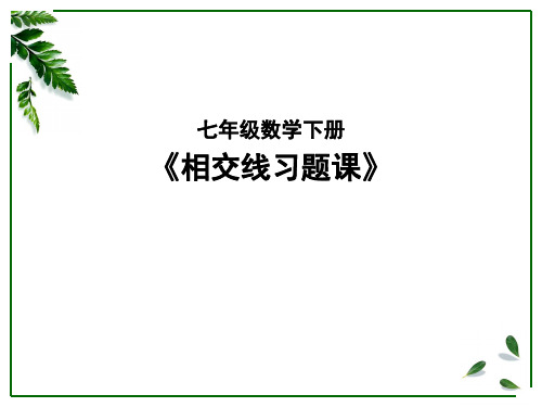 511相交线-山东省无棣县第二初级中学人教版七年级数学下册习题课课件(共17张PPT)