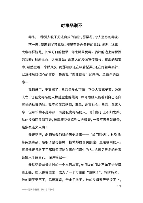 对毒品说不_六年级作文