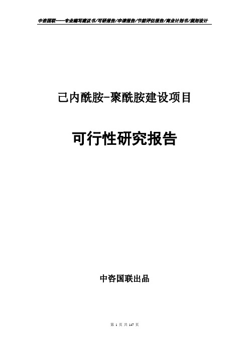 己内酰胺-聚酰胺建设项目可行性研究报告