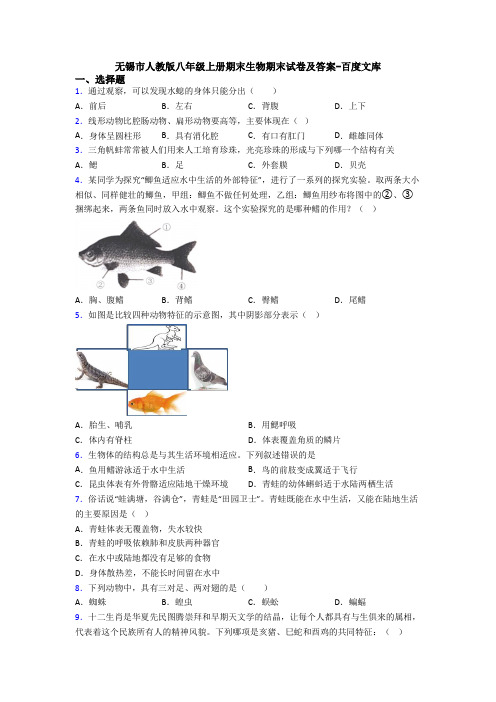 无锡市人教版八年级上册期末生物期末试卷及答案-百度文库