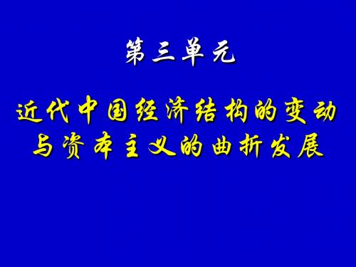 鸦片战争后的中国社会经济2