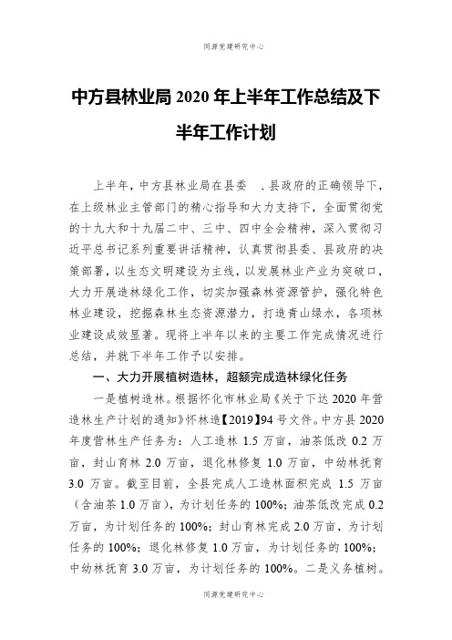 中方县林业局2020年上半年工作总结及下半年工作计划