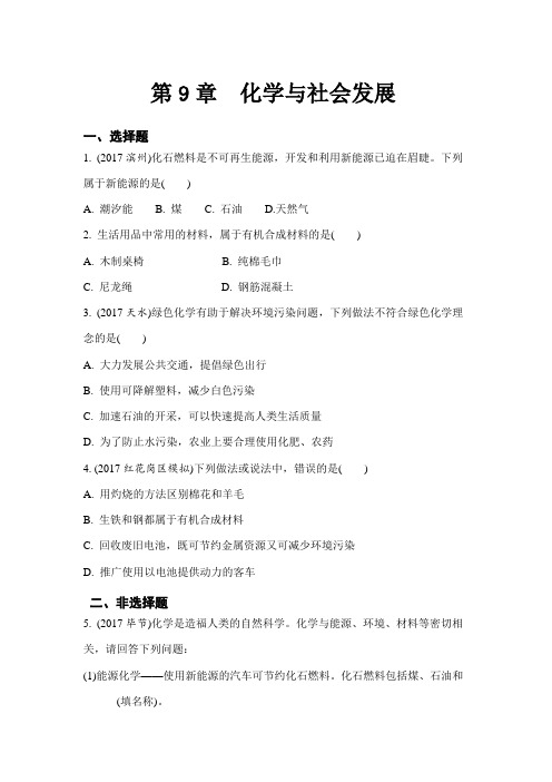 中招化学复习 化学与社会发展(word版习题)