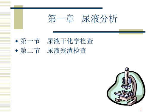 尿液分析ppt课件