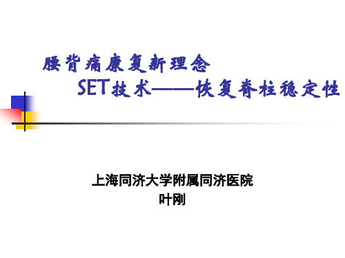 SET技术