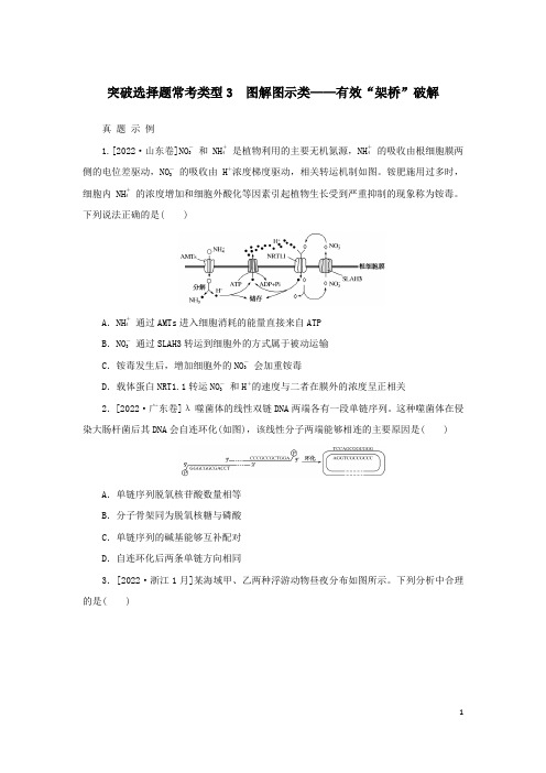 2023新教材高考生物二轮专题复习 突破选择题常考类型3 图解图示类——有效“架桥”破解