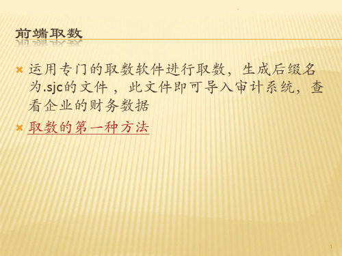 鼎信诺审计软件的四种取数方法