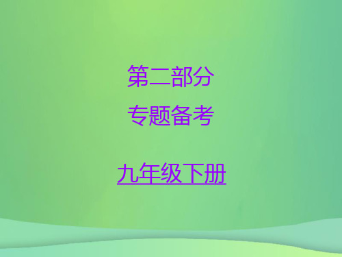 2018秋初中语文名著阅读一本通第二部分专题备考(九下)课件新人教版