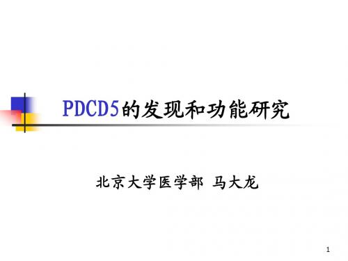 北医免疫课程PDCD5-研究思路