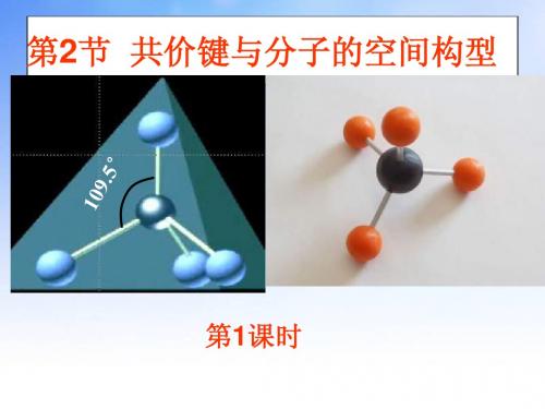 共价键与分子的空间构型PPT课件