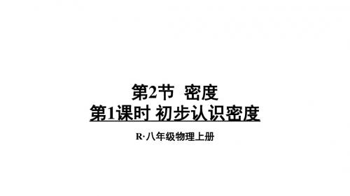第六章第2节 密度第1课时 初步认识密度