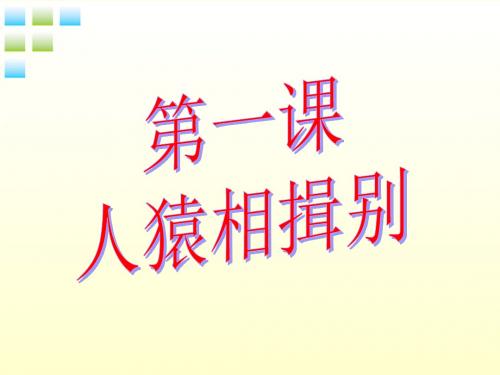 八年级历史上册 人猿相揖别—站起来的祖先课件 人教新课标版