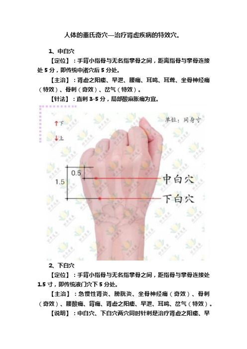 人体的董氏奇穴—治疗肾虚疾病的特效穴。