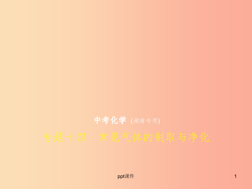 (湖南专用)2019年中考化学复习 专题十四 常见气体的制取与净化(试卷部分)课件