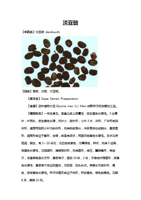 淡豆豉