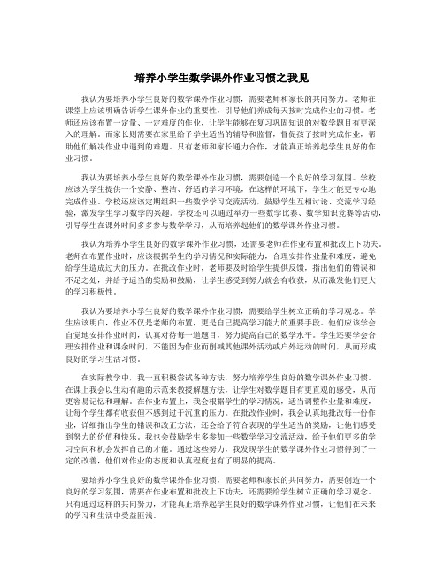 培养小学生数学课外作业习惯之我见