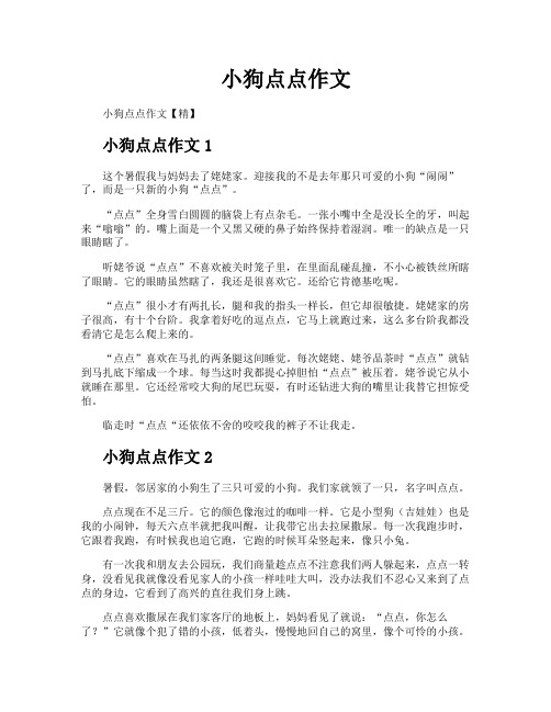 小狗点点作文