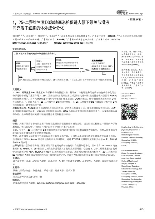 1,25-二羟维生素D3和地塞米松促进人颞下颌关节滑液间充质干细胞的体外成骨分化