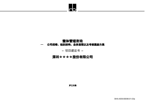 罗兰贝格项目建议书标准模板(ppt 25)