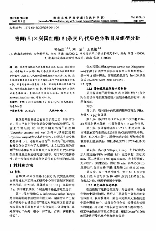 青鲫(♀)×兴国红鲤(♂)杂交F1代染色体数目及组型分析