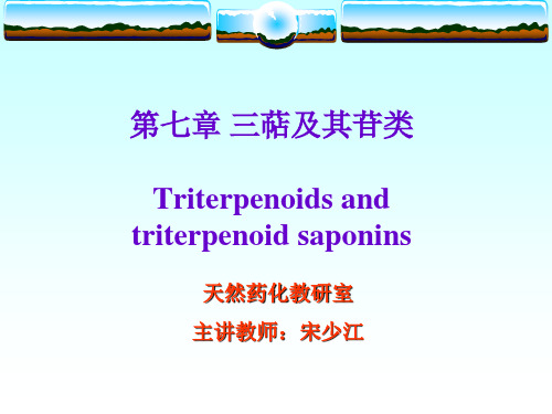 天然产物化学全套 - 四环三萜