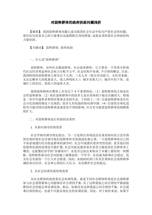 对弱势群体的政府扶助问题浅析