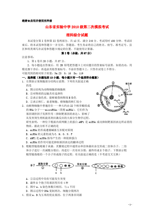 山东省实验中学高三理综6月第二次模拟考试试题