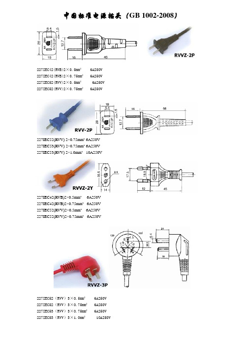中国电源插头规格描述