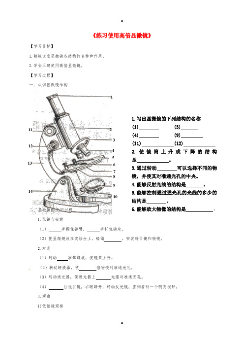 高中生物 第一章 使用高倍显微镜学案新人教版必修1