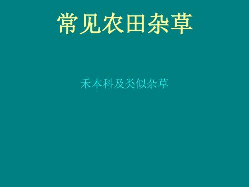 常见农田杂草图鉴