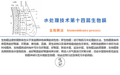 水处理技术 生物膜