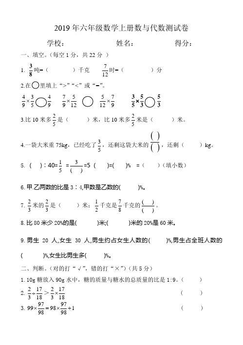 2019年人教版六年级数学上册数与代数测试卷