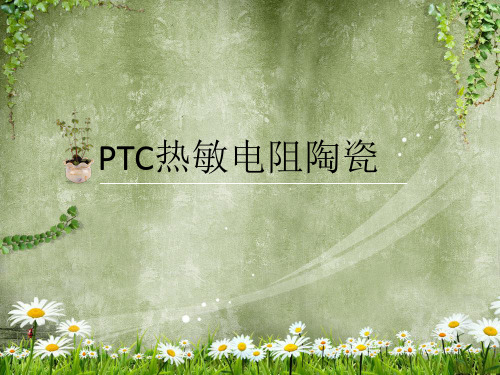 ptc特种陶瓷