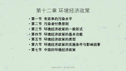 环境经济学第十二章环境经济政策课件